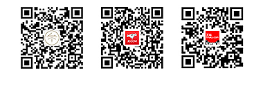 the qr code